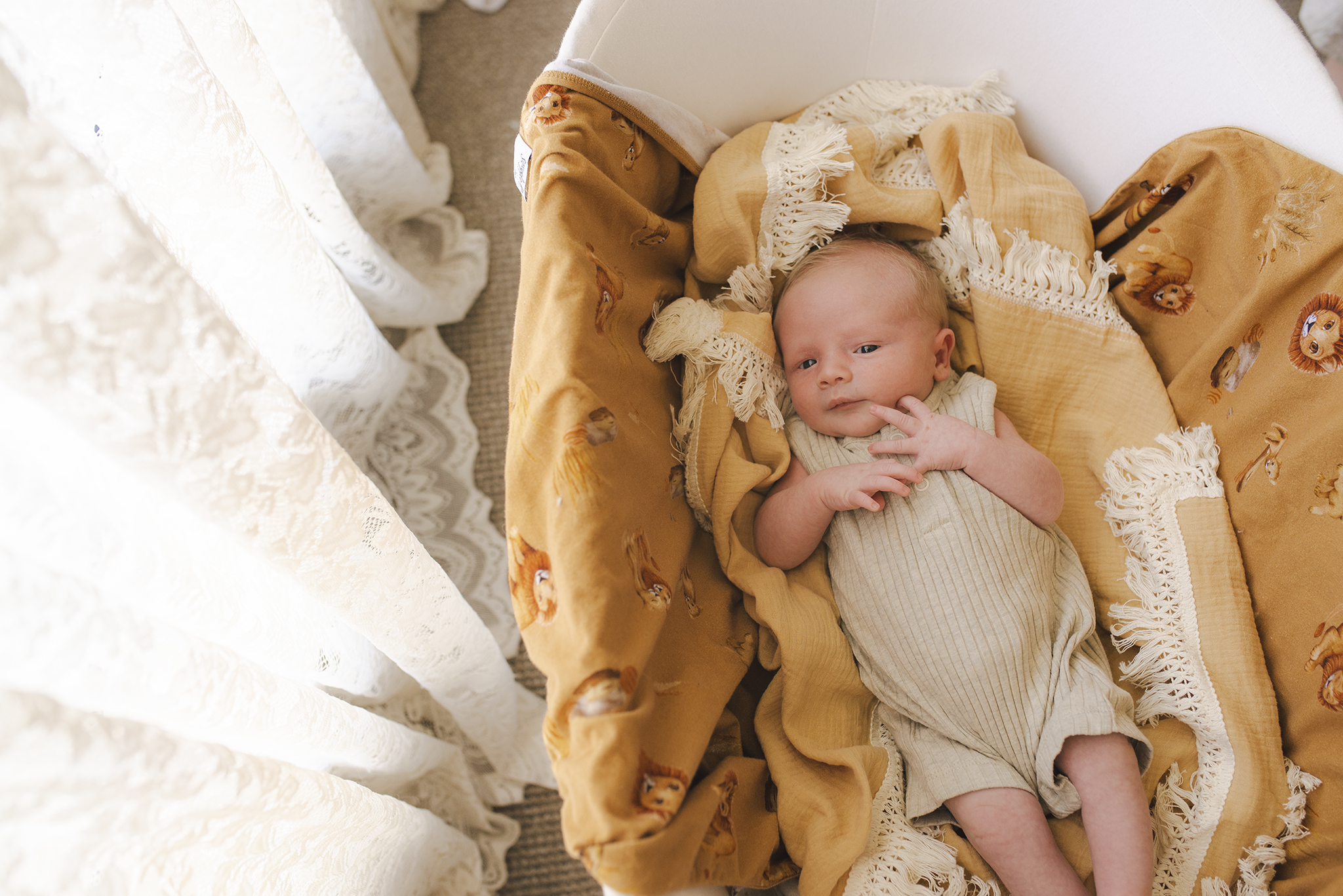 A newborn baby photo. Baby is laying in a nest of blankets, in a basinette next to a lacy window. He is stretched out, awake & interacting with the photographer.